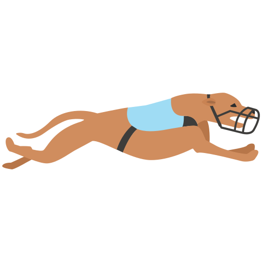 Greyhound racing live
